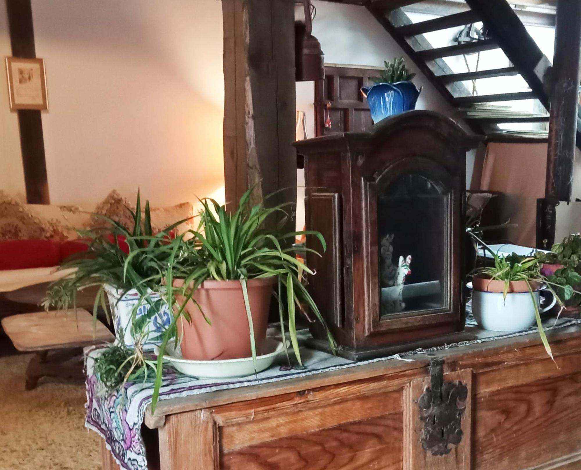Suite En Cuadra Pajar, Casa Rural Hoz de Jaca 外观 照片